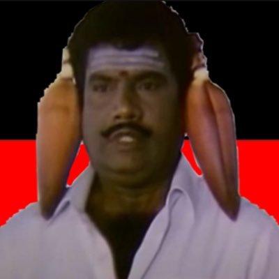 disisvki's profile picture