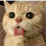 Storm's profile picture