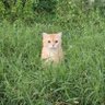 ไอ้คนขี้เกียจ 的头像