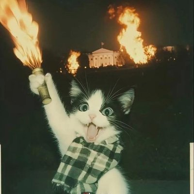 TWYWLFTV's profile picture