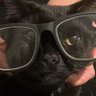 Profilbild von Z