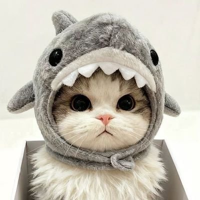 nnbb39's profile picture