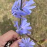 Фото профиля Jack23