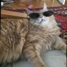 Lemi's profile picture