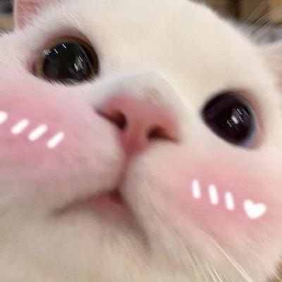 지미밍's profile picture