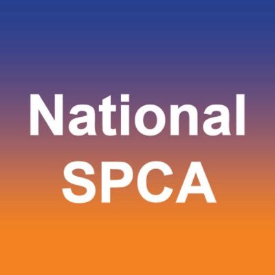 NSPCA's profile picture