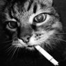 KacznX's profile picture