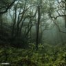 biosphere 的头像