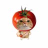 Profilbild von Meng