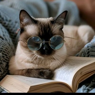 MakingFranklins's profile picture