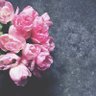 صبراً جميلاً's profile picture