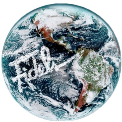 Flowersbyfidels's profile picture