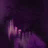 vaal's profile picture