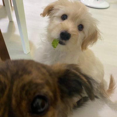 감자밤이's profile picture
