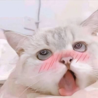 重口原味-舞蹈生kalamomo's profile picture