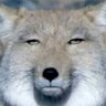 Profilbild von しんしんしん
