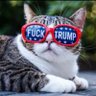 Profilbild von kmiller5554🇺🇸