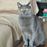 Cris profil fotoğrafı