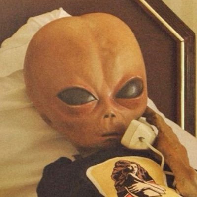 Shay's profile picture