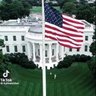 The Voter's Guide: to politics 🇺🇸's profile picture