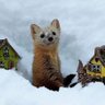 はぴい　サッチン profil fotoğrafı