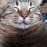 KansasDrifter's profile picture