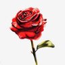 TheOCollective 🌹🌹🌹's profile picture