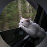 .'s profile picture