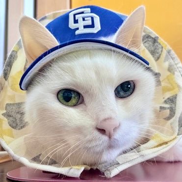 ima_naka_4's profile picture