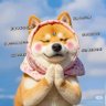 Profilbild von 圆隆咚