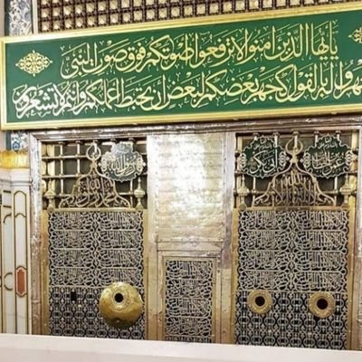 salehsaeed138's profile picture