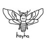 Hayha | Editor ✨'s profile picture
