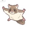Profilbild von モモンガ♂