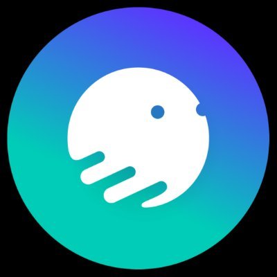 Okto 🐙's profile picture