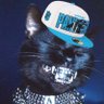 Фото профиля Westside Panther