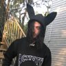 steele's profile picture