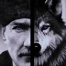 Kül Tigin Turan's profile picture