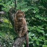 らっシー's profile picture