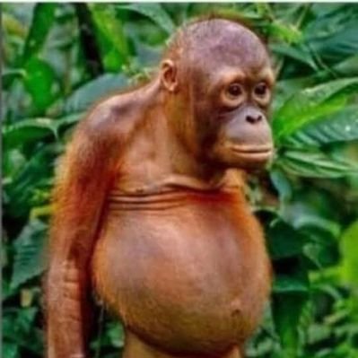 depr4ss's profile picture