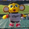 けい🐯 的头像