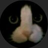 Profilbild von mahdi