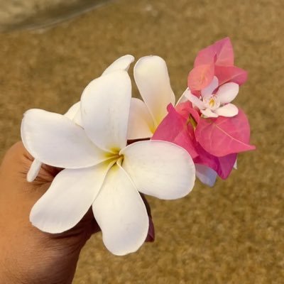 Jumanaa_Mutasim's profile picture