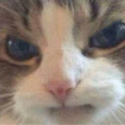 별달 วาบ's profile picture