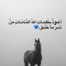 الفارس's profile picture