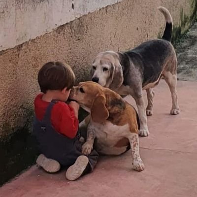 Saúl Interiano's profile picture