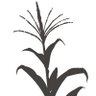 真偽滞 profil fotoğrafı