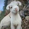 H profil fotoğrafı