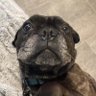 Profilbild von Hello