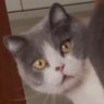 Profilbild von Sudonper CC