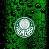 Palmeiras's profile picture
